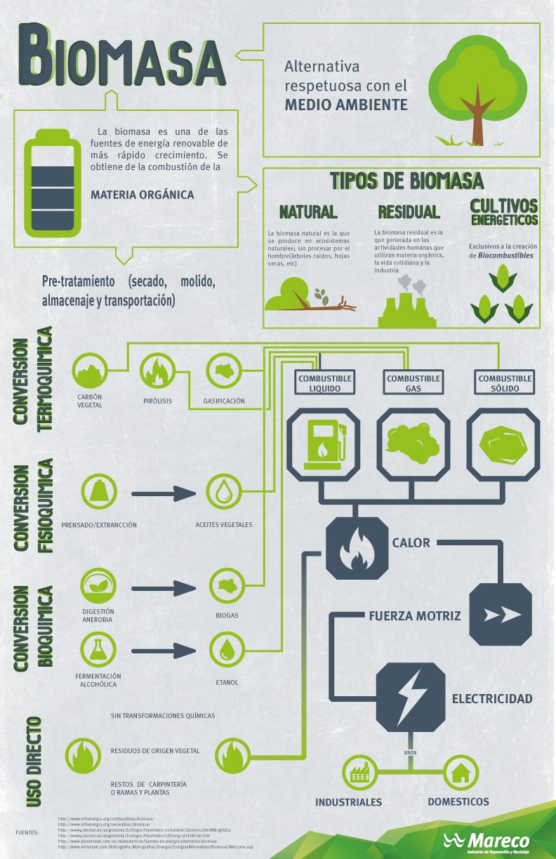 energia de biomasa