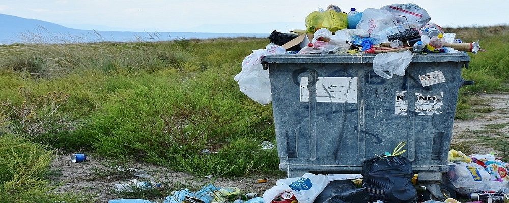 Contaminación del Medio Ambiente