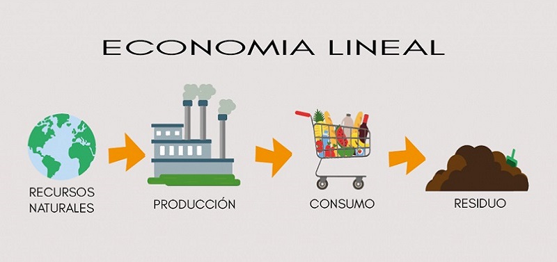 Economia Lineal